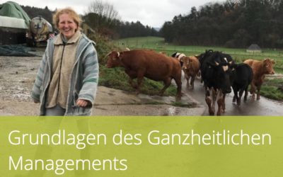 Kurs zum Ganzheitlichen Management