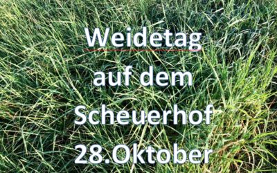 Am 28.10.2018 Weidetag auf dem Scheuerhof