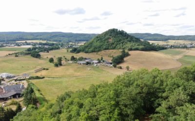 Das etwas andere Praktikum auf dem „Permakultur Scheuerhof“