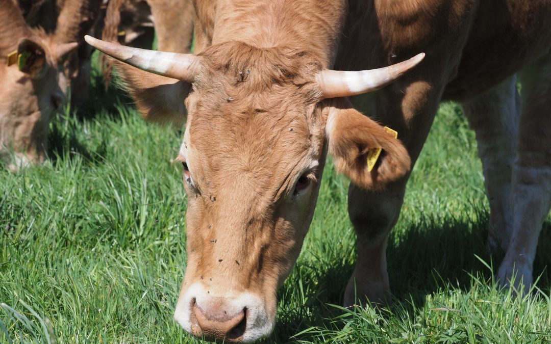 Entspannt bleiben trotz Trockenheit